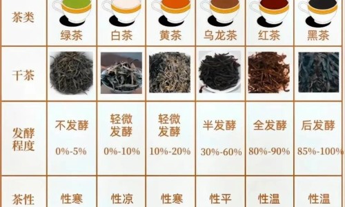 很痒-身上起了像蚊子咬的包不痛不痒网 - 网站提供身上起了像蚊子咬的包一样小常识、身上起了像蚊子咬的包一样